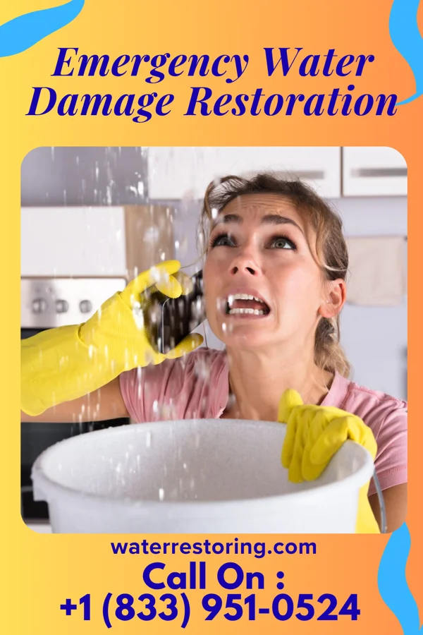 Emergency Water Damage Restoration in Pecan Plantation, TX
