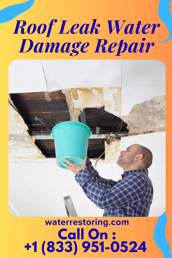 Roof Leak Water Damage Repair in Pecan Plantation, TX